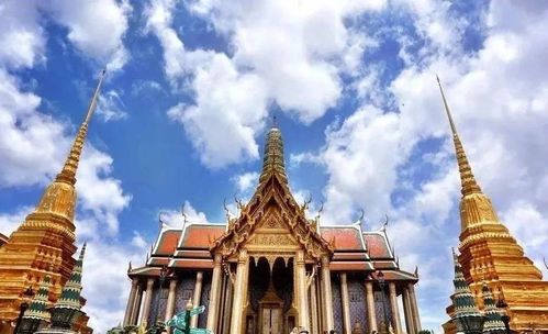 大三巴免费资料大全使用教程详解或2026年天天免费资料百度免费版:猴、兔、鼠、羊,系统分析、专家解析解释与落实-提防虚假造势