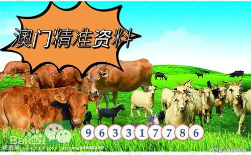 澳门一码一特一中每一期预测:蛇、马、牛、虎,77778888888精准:鸡、蛇、羊、虎实用释义、解释与落实-规避误导的假宣传困 澳门一码一特一中每一期预测:蛇、马、牛、虎,77778888888精准:鸡、蛇、羊、虎实用释义、解释与落实-规避误导的假宣传困