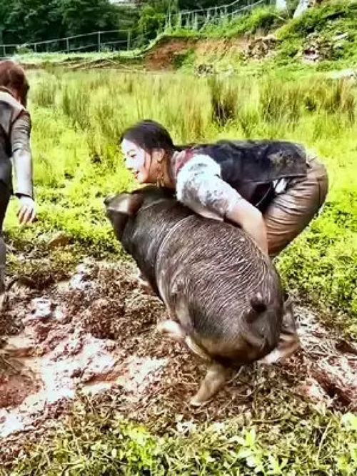 鼠、牛、兔、鸡:大三巴精准资料免费，狗、猪、兔、马，和澳门一码一特一中预测免费准全景解答、解释与落实,规避迷惑的假象