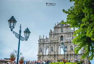 175期好运一五今期开：大三巴资料免费大全最新版广东168之澳门管家婆100谜题答案哪里找-安全解答、专家解读解释与落实​,警惕诱导性陷阱