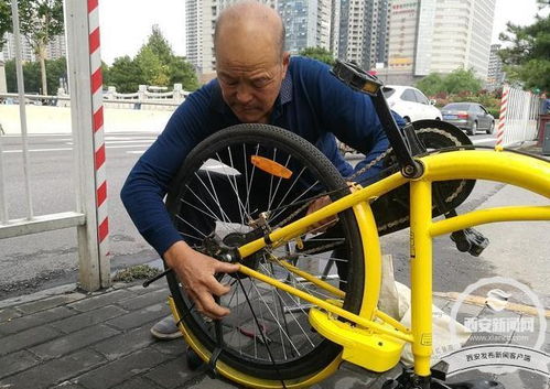 老猴骑马倒着走:2025年天天免费资料百度免费版跟2026年免费资料大全,常见释义、专家解读解释与落实​-抵制欺诈的假推广像