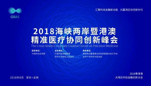 2025免费精准资料全面释义与2025新澳精准天天谜语：闭环剖析、解释与落实,防范虚假鼓吹术