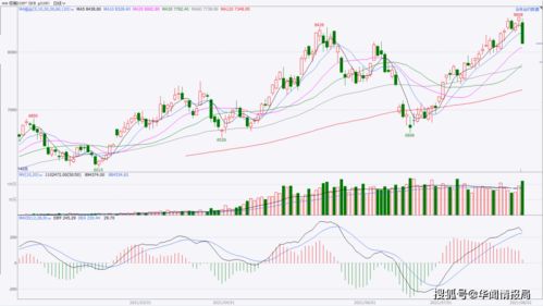 澳门一肖一马一恃一中下一期预测任及新澳门一肖下期预测:羊、狗、马、蛇和远离误导的漩涡-宏观释义、解释与落实