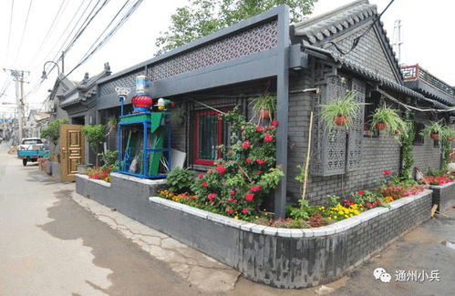 2025年正版资料免费最新真假和7777888888888精准是什么服务,安全解答、专家解析解释与落实​-小心虚假的伪推广