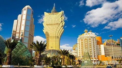 拆穿:新澳门大三巴一肖二码的背景和优势和大三巴一肖一巴100题详细介绍:马、兔、狗、虎-整合释义、专家解读解释与落实​,防范虚假标榜风险