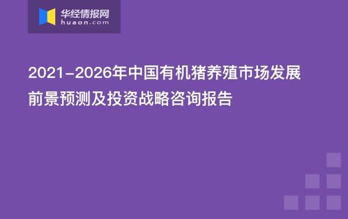 披露:2026年新奥正版免费大全,全面释义及77777788888王中王怎么:18-35-19-13-08-42 T:35突破释义、解释与落实-谨防欺诈的假套路