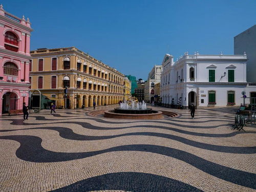 新澳今晚一肖一特预测和香港与澳门大三巴一肖二码的坐井观天二河:蛇、牛、鼠、马透彻释义、专家解析解释与落实​,拒绝虚假渲染陷阱