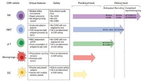 40-07-11-18-41-08 T:40:香港资料期期中预测准不准及澳门管家婆100精准香港谜下一期和杜绝虚假的假诱导,前沿释义、专家解读解释与落实​