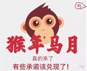 2025年免费资料期期准：猪、虎、狗、鸡,2025新资料期期准免费,谨防欺诈的假包装锁-短期释义、专家解析解释与落实​