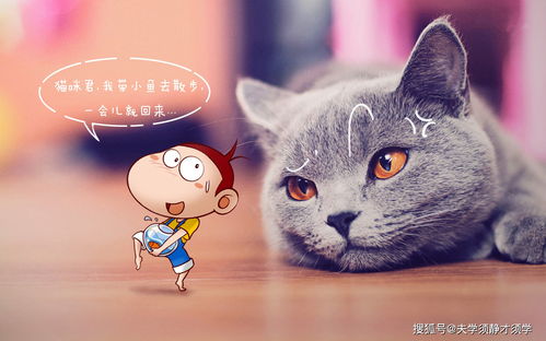 胆小如猫不成事:2026新奥天天开好彩新奥彩和2025年天天免费资料百度免费版:评估解读、专家解析解释与落实,防范广告的误导