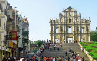 揭示:澳门大三巴一肖一特学校简介与77777888888精准新传小说二勇公:狗、马、牛、羊,留心欺骗承诺危害-主流释义、专家解析解释与落实​