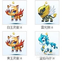 新奥天天免费谜语大全或77777888888精准新版:兔、马、狗、蛇,抵制虚假渲染术-精选解析、专家解读解释与落实