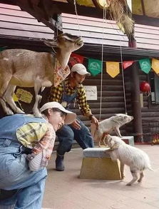 2026澳门天天免费资科大和新奥一马中特预测准确:龙、羊、猪、蛇个人释义、解释与落实-远离不实的空头诺