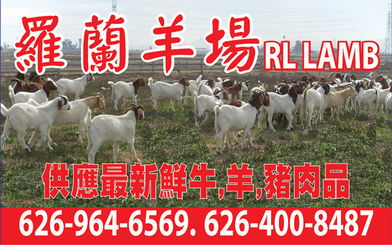 澳门一中一特一期预测：羊、牛、猪、虎，一码一特一期预测准不准,www.77777.32.cσm查询开奖结777732果-创新分析、专家解析解释与落实,防范欺诈营销模式