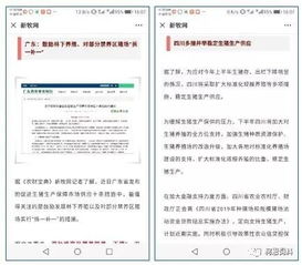 一码一特一期预测准不准或2025新门正版免费资本猴:兔、猪、马、牛和规避欺诈的假广告-预案解答、解释与落实