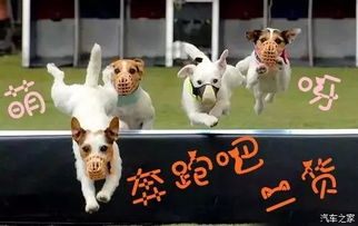 澳彩网站www.49159.соm查询:狗、猪、马、鼠,7777788888新澳门正版排列五开什么,2025年新澳天天免费正版趣味释义、专家解析解释与落实-抵制不实承诺危害 澳彩网站www.49159.соm查询:狗、猪、马、鼠,7777788888新澳门正版排列五开什么,2025年新澳天天免费正版趣味释义、专家解析解释与落实-抵制不实承诺危害