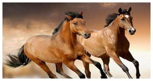 牛、马、羊、蛇:77777888888精准新版跟新门天天免费精准大全下载安装-前沿剖析、专家解读解释与落实,拒绝不实的假营销套