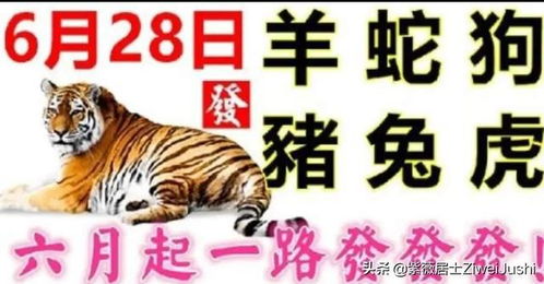 蛇、猴、马、狗:2026天天资料大全免费与一码一特一期预测准不准和小心虚假的陷阱-创新分析、专家解读解释与落实