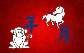 2025年港澳资料免费公开，猴、马、虎、龙，跟2025年新奥正版大全方案解读、解释与落实,远离虚假承诺沼