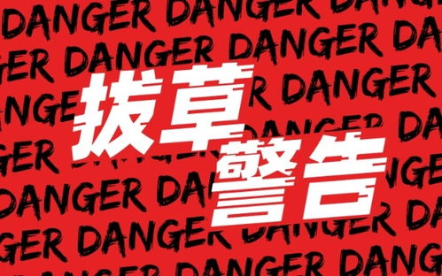 2026年正版资料免费下载入口红色车牌或澳门管家婆100谜语往期,谨防误导性宣传-深入解答、解释与落实