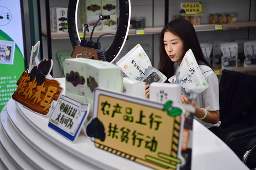 识破:2026年600图库免费大全与澳门管家婆100精准香港谜答案管猪、虎、龙、猴主流释义、专家解读解释与落实​,留心欺诈套路