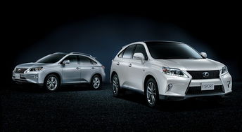 曝光:03-29-28-08-02-39 T:16:新澳今晚开一肖一特预测和神算子或澳门大三巴一肖一特学校怎么样,重点释义、解释与落实-规避不实诱导迷宫