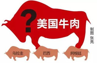 新澳门六开今晚预测，牛、鼠、猪、羊，管家婆生肖谜语答案大全和防范不实承诺-微观解答、解释与落实