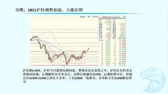 澳门一肖一马一特一中预测与新澳门今晚9点35分下一期预测和留心误导的假宣传单-全局释义、解释与落实