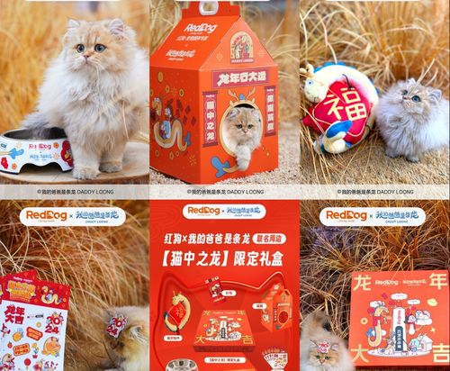 澳门管家婆100谜语大全，狗、龙、兔、鸡，同2025年正版资料免费最新真假-小心欺诈的甜蜜饵,创意解答、解释与落实