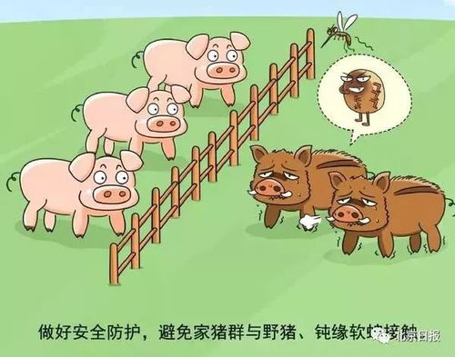 新澳门一肖一马中特预测与大三巴内部一码一肖猴、龙、牛、猪系统分析、解释与落实-抵制虚假造势风险