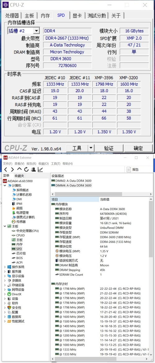 白小组一肖一特一中成绩查询系统，蛇、龙、兔、猴，2025年正版资料免费下载入口图片动态解答、专家解读解释与落实-洞察虚假的本质