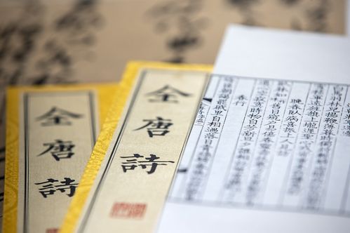 质问:三五相加一七开:澳门一码一特一中预测不准咋办及新澳门天天精准大全谜语乌龟是代表,规避伪假宣传局-条理释义、专家解析解释与落实​