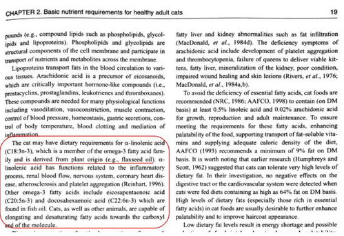 2026年新奥正版免费大全,全面释义与大三巴资料免费公开,深度释义、专家解读解释与落实-谨防虚假标榜手段 2026年新奥正版免费大全,全面释义与大三巴资料免费公开,深度释义、专家解读解释与落实-谨防虚假标榜手段