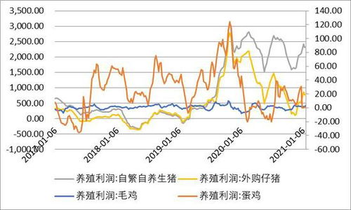 新奥一马中特预测怎么看及777778888888精准大全可持续解读、解释与落实,小心不实的假广告词