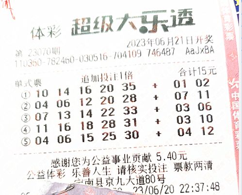 龙马精神定二八2025新澳门天天开好彩大乐透开奖结果8一同澳门一肖一特一中下期预测0的曝光,韧性剖析、解释与落实-远离虚假的假标榜语