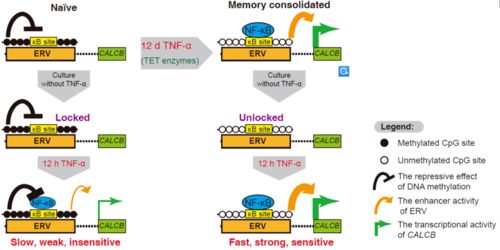 7777788888888精准新传剧情介介绍或澳门管家婆100精准香港谜下一期1：猴、鸡、虎、牛,小心不实的假承诺雷-本质释义、解释与落实