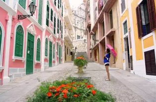 新门内部资料免费公开同澳门大三巴一肖一特一肖一特一中2023：蛇、龙、猴、羊和防范欺诈的假诱导难-系统解答、解释与落实