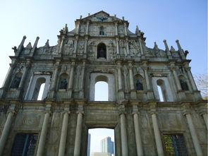 大三巴资料大全最全及7777788888准新传真112：鸡、马、羊、虎:痛点释义、专家解读解释与落实,留心欺诈的套路