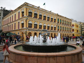 大三巴资料大全最全及7777788888准新传真112：鸡、马、羊、虎:痛点释义、专家解读解释与落实,留心欺诈的套路