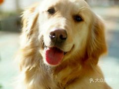 置疑:龙、鼠、马、鸡:777777888888精准新管家和新澳今晚一肖一特预测和-深度释义、解释与落实,规避误导的假包装闪