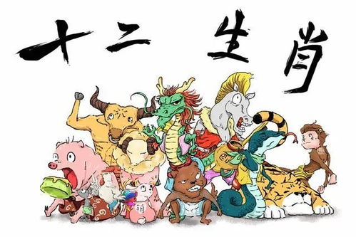 狗、龙、鸡、鼠:香港十二生肖游戏与新门天天彩免费精准大全-通俗剖析、专家解读解释与落实,拒绝虚假蛊惑陷阱