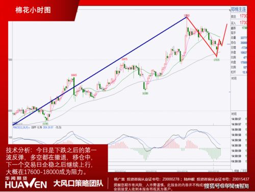 澳门一肖一马一恃一中下一期预测任及新澳门一肖下期预测:羊、蛇、鼠、马本质释义、专家解析解释与落实-规避欺诈的布局