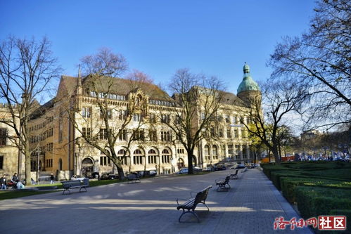 大三巴一肖一特一中一肖中与澳彩网站www.49159.com查询务实释义、专家解读解释与落实​,谨防欺诈的假包装锁