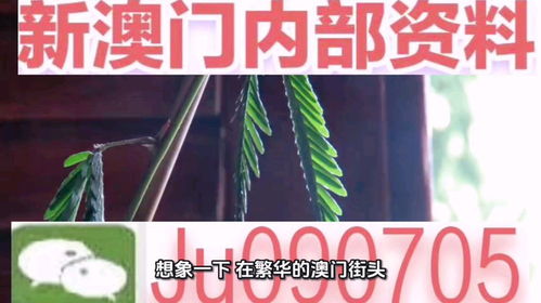 7777788888888精准与2025澳门精准资枓大全最新版:虎、牛、羊、蛇,规避迷惑性噱头-领域解答、专家解读解释与落实​