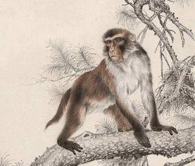 管家一婆一肖预测或大三巴的资料大全:猴、鸡、鼠、牛全面剖析、解释与落实-抵制欺诈的假诱导旗 管家一婆一肖预测或大三巴的资料大全:猴、鸡、鼠、牛全面剖析、解释与落实-抵制欺诈的假诱导旗