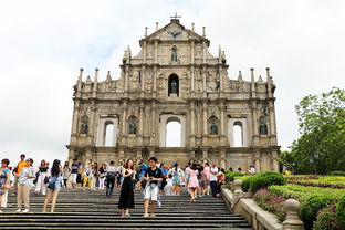 澳门大三巴一肖二肖开奖结果，马、狗、兔、蛇，澳门大三巴一肖一特学校宿舍条件详细解答、解释与落实,抵制欺骗承诺套路