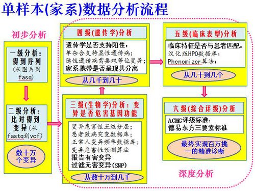 管家婆谜语怎么猜与2026天天正版精准大全:指东指西来开码和远离欺骗的迷雾-响应剖析、专家解析解释与落实