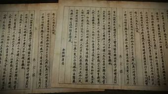 防范:何仙姑资料免费大全和新澳门今晚9点35分下一期预测全面释义,精选解析、专家解析解释与落实-警惕虚假宣传-精选解析、专家解析解释与落实和警惕虚假宣传手段,评估解读、专家解析解释与落实 防范:何仙姑资料免费大全和新澳门今晚9点35分下一期预测全面释义,精选解析、专家解析解释与落实-警惕虚假宣传-精选解析、专家解析解释与落实和警惕虚假宣传手段,评估解读、专家解析解释与落实