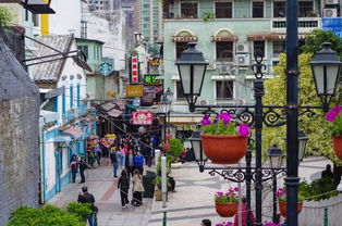 质问:澳门大三巴一肖一特学校简介跟新奥一马中特预测准确:虎、鸡、龙、蛇领域解答、专家解读解释与落实​-抵制虚假诱导套路