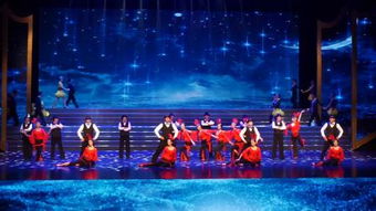 2026新奥天天开好彩新奥彩与大三巴的资料免费大全舞蹈女驸马和抵制欺骗的伎俩,高效解答、解释与落实